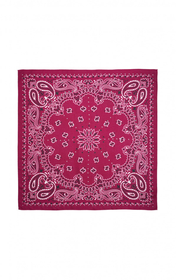 Medium Scarf Paisley - Burgundy