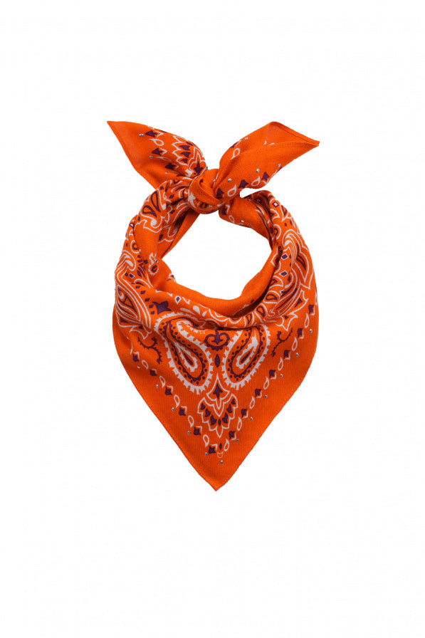 Mini Scarf Paisley - Terre