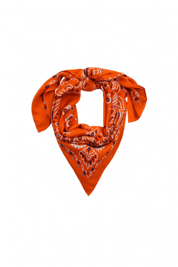 Medium Scarf Paisley - Terre