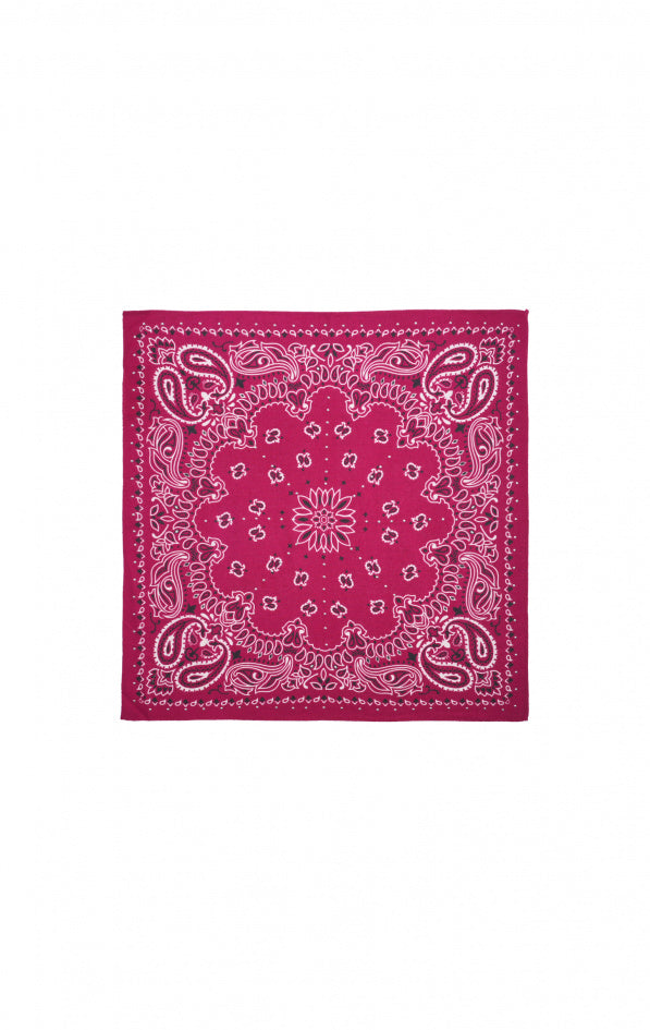 Mini Scarf Paisley - Burgundy