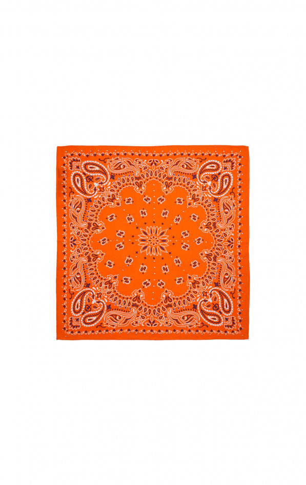 Mini Scarf Paisley - Terre