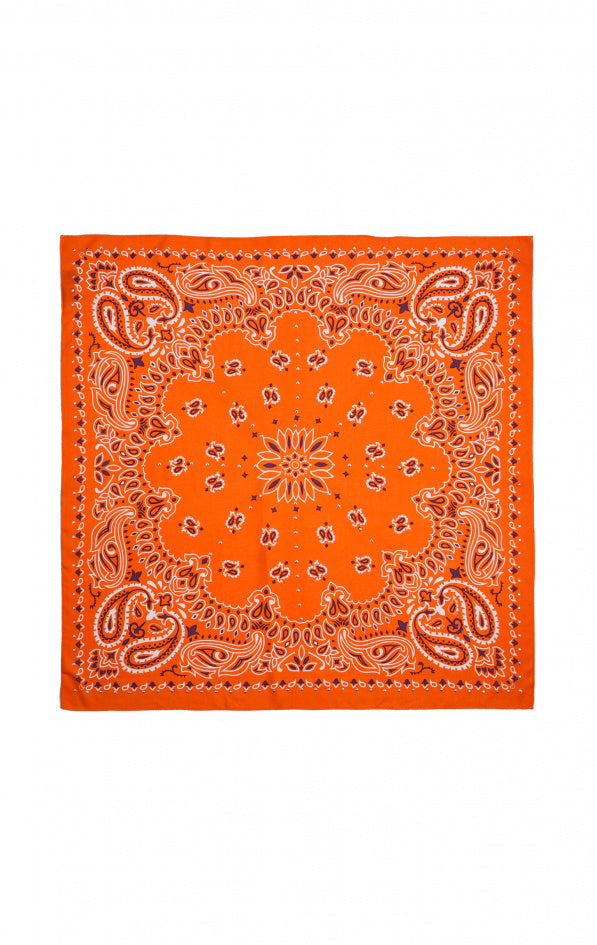 Medium Scarf Paisley - Terre