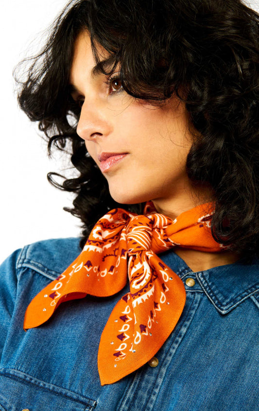 Mini Scarf Paisley - Terre