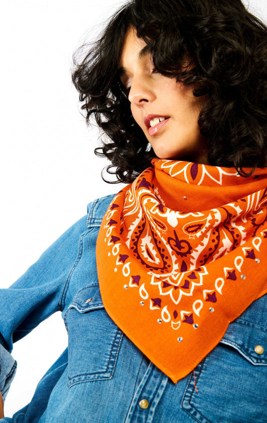 Medium Scarf Paisley - Terre